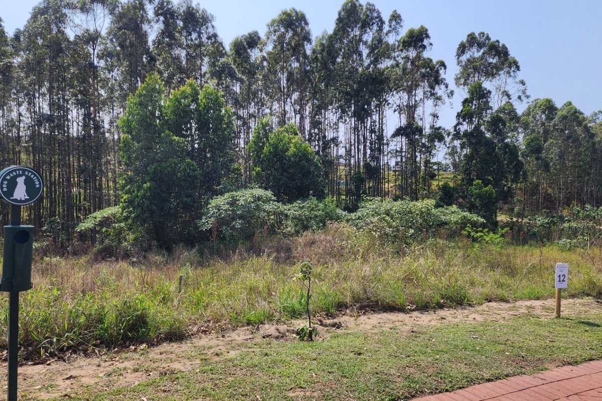 Vacant Land Residential For Sale in Elaleni Coastal Forest Estate - Photo 4