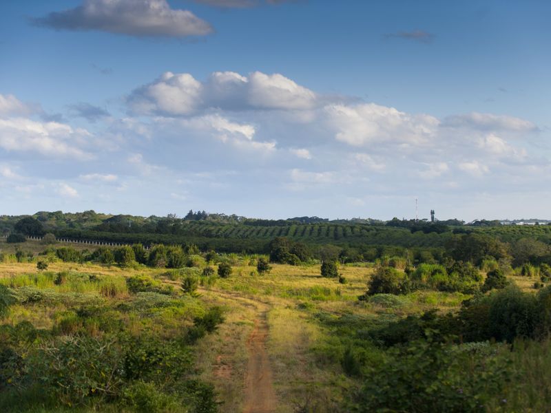 House For Sale in Sheffield Beach - Photo 10