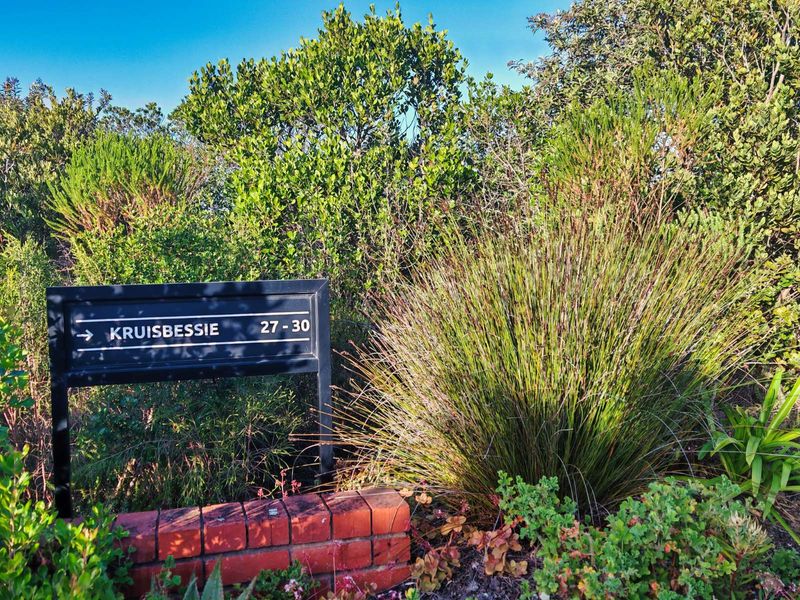 Vacant Land Residential For Sale in Herolds Bay - Photo 6