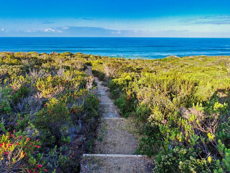 Vacant Land Residential For Sale in Herolds Bay - Photo 9