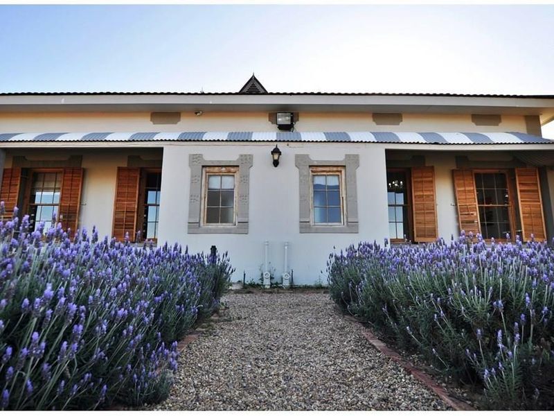 Farm For Sale in Oudtshoorn Rural - Photo 3