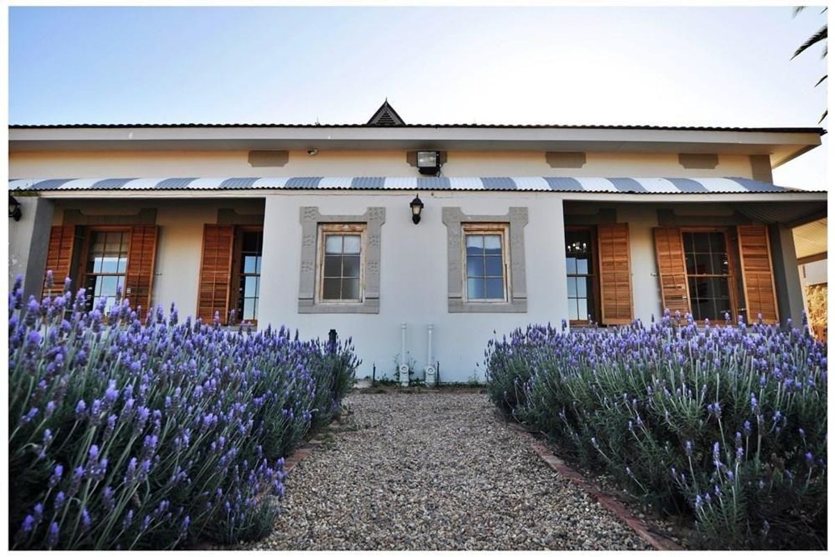 Farm For Sale in Oudtshoorn Rural - Photo 3