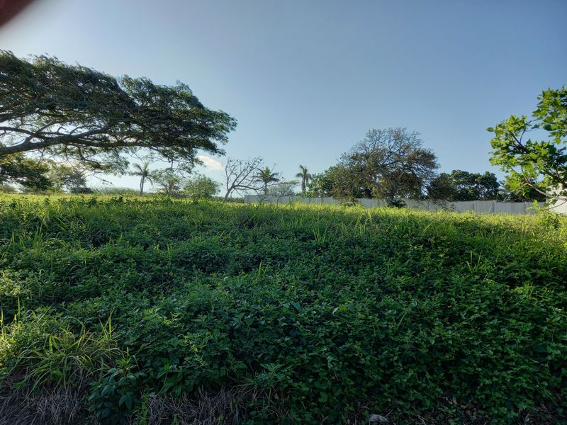 Vacant Land Residential For Sale in Zinkwazi Beach - Photo 2