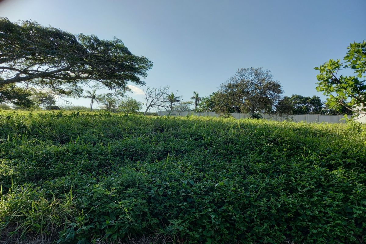 Vacant Land Residential For Sale in Zinkwazi Beach - Photo 2