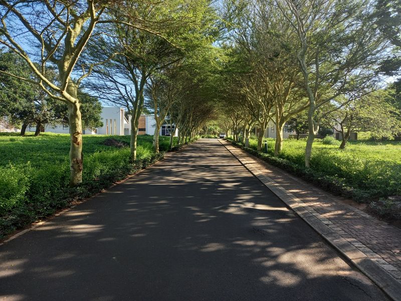 Vacant Land Residential For Sale in Zinkwazi Beach - Photo 6