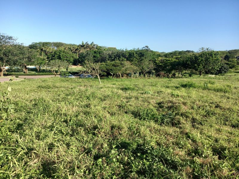 Vacant Land Residential For Sale in Zinkwazi Beach - Photo 9