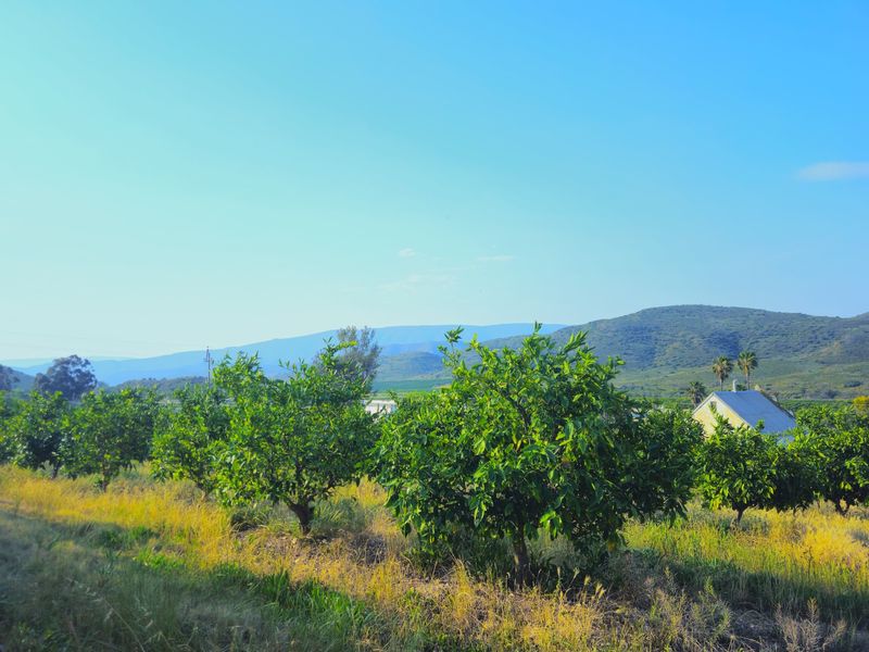 Farm For Sale in Montagu Rural - Photo 10