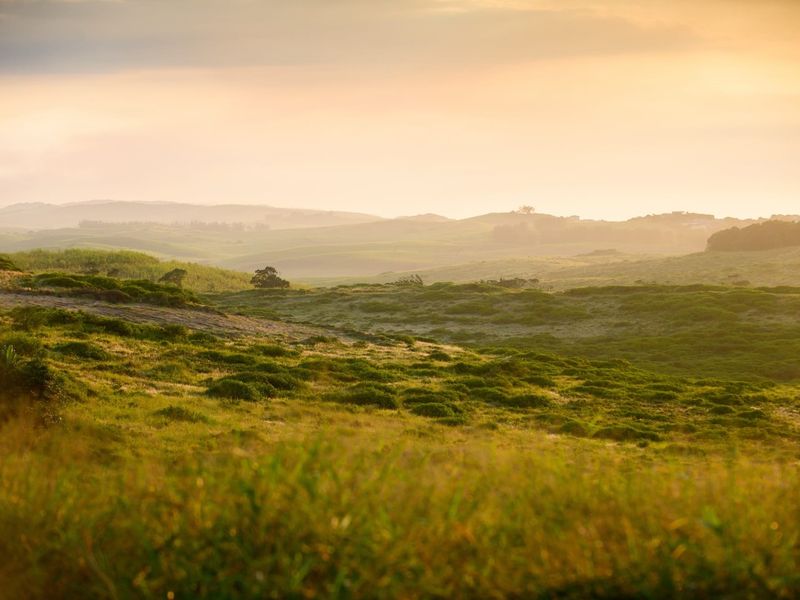 Vacant Land Residential For Sale in Seaton Estate - Photo 3