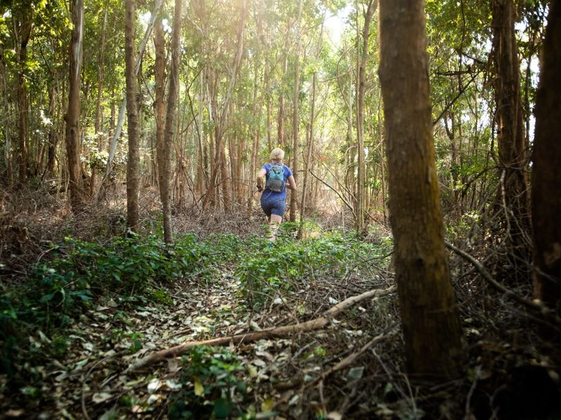 Vacant Land Residential For Sale in Seaton Estate - Photo 9
