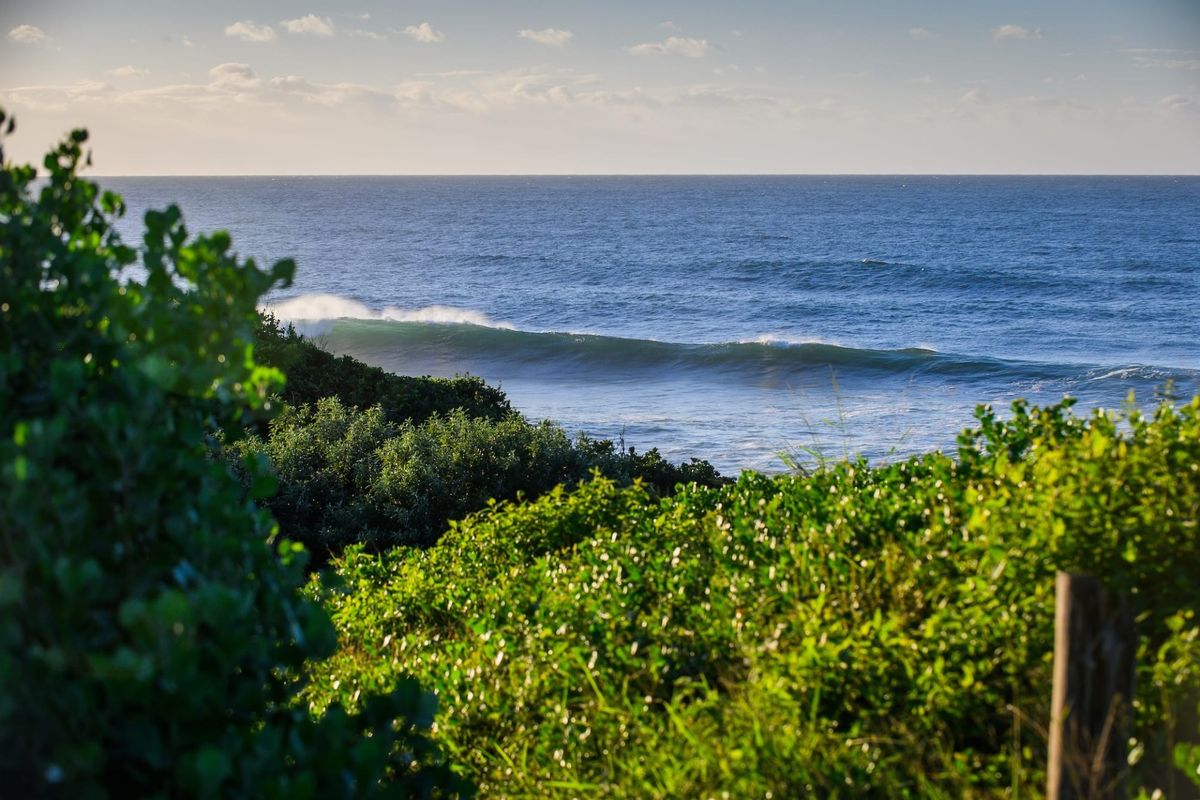 Vacant Land Residential For Sale in Seaton Estate - Photo 4