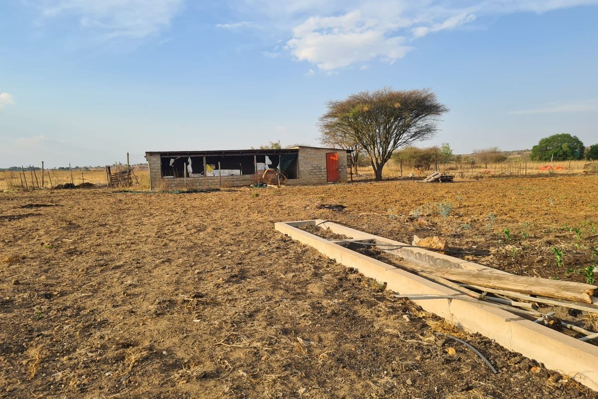 Farm For Sale in Dalmada AH - Photo 5