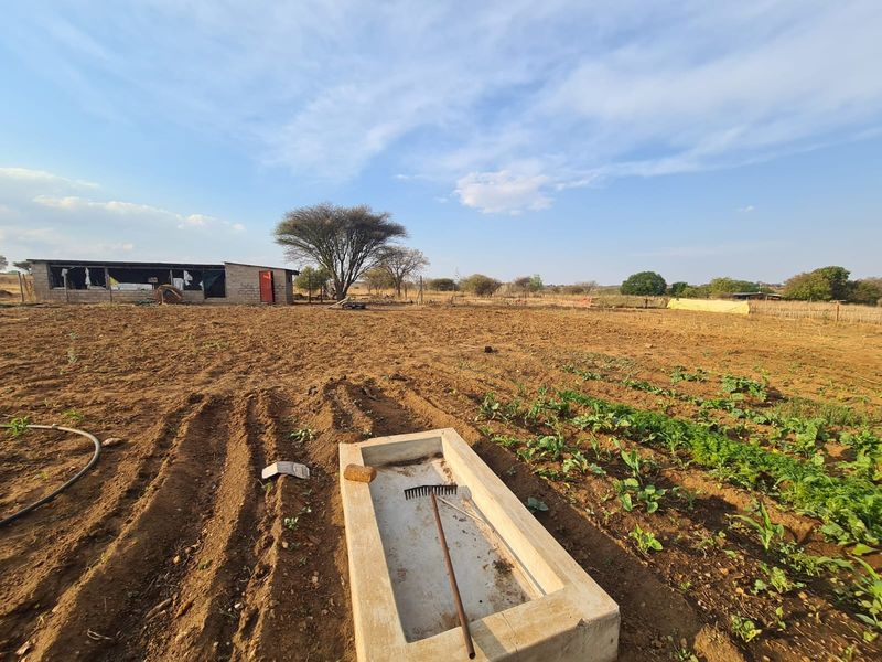 Farm For Sale in Dalmada AH - Photo 6