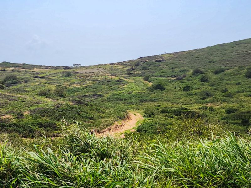 Vacant Land Residential For Sale in Seaton Estate - Photo 10