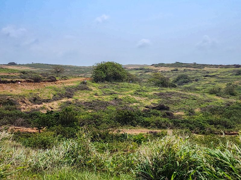 Vacant Land Residential For Sale in Seaton Estate - Photo 9