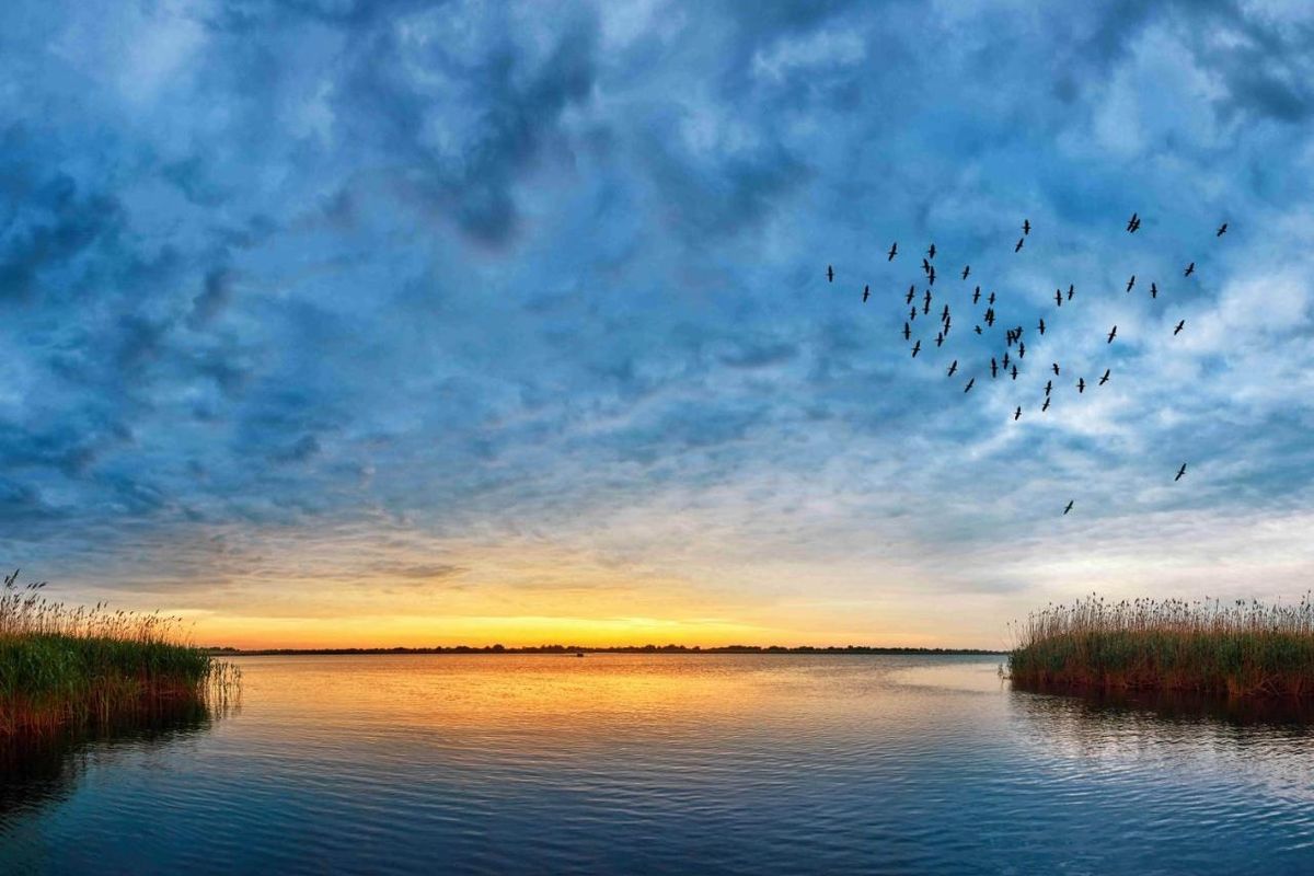 Townhouse For Sale in St Lucia Central - Photo 2