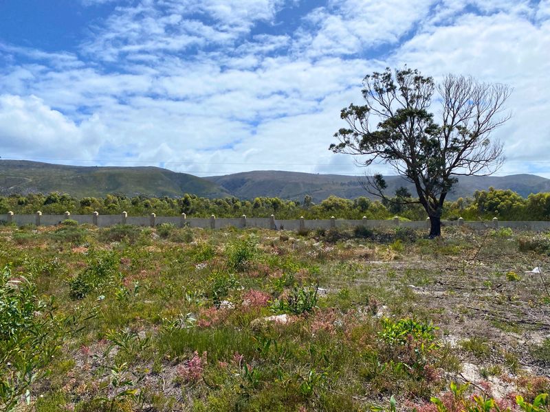 Vacant Land Residential For Sale in Franskraal - Photo 6