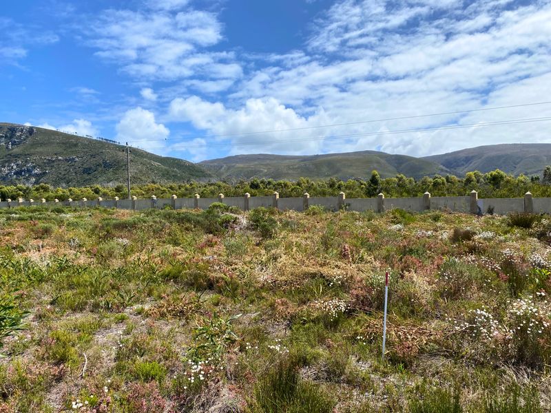 Vacant Land Residential For Sale in Franskraal - Photo 4