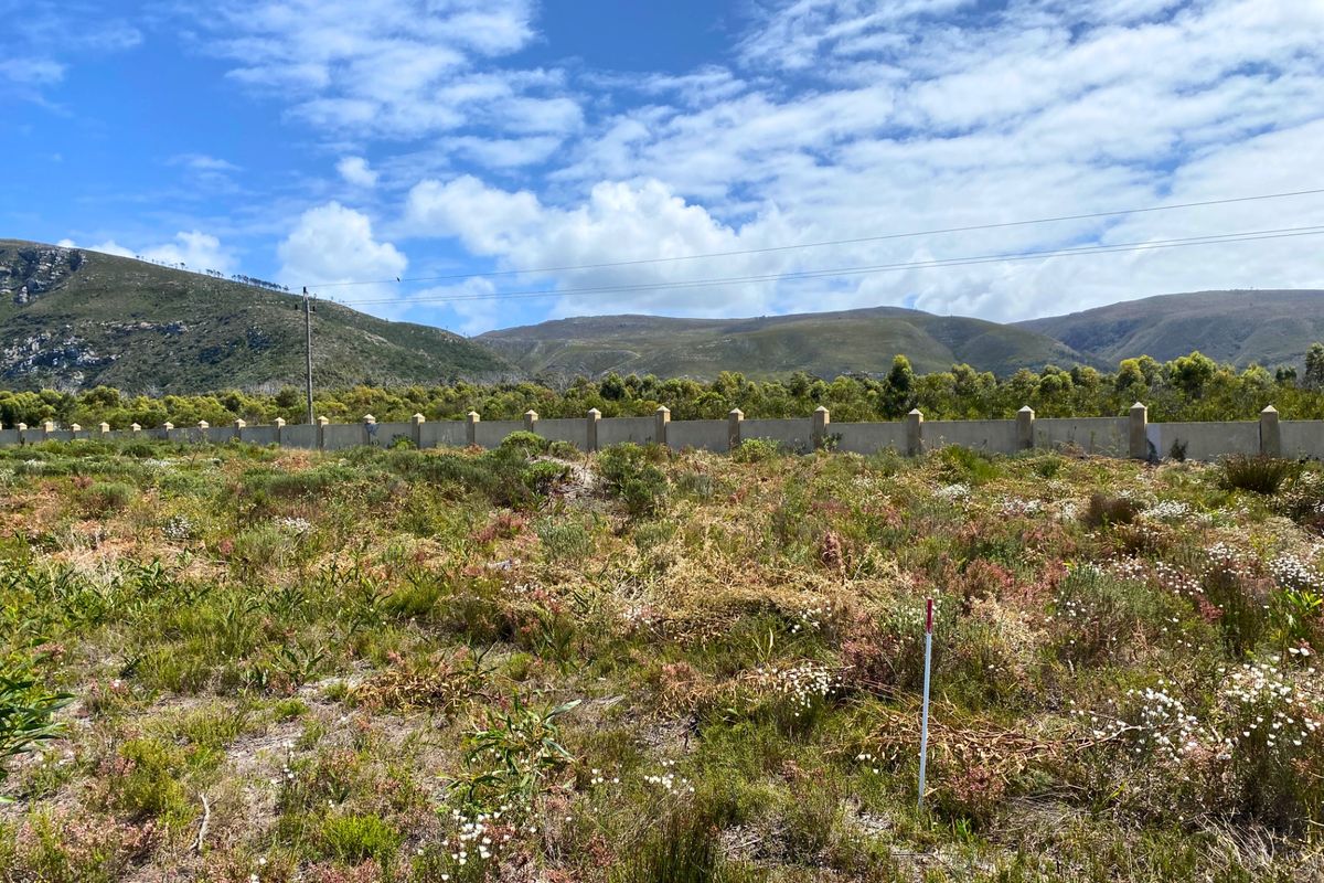 Vacant Land Residential For Sale in Franskraal - Photo 4