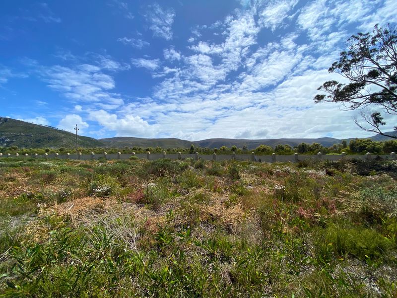 Vacant Land Residential For Sale in Franskraal - Photo 5