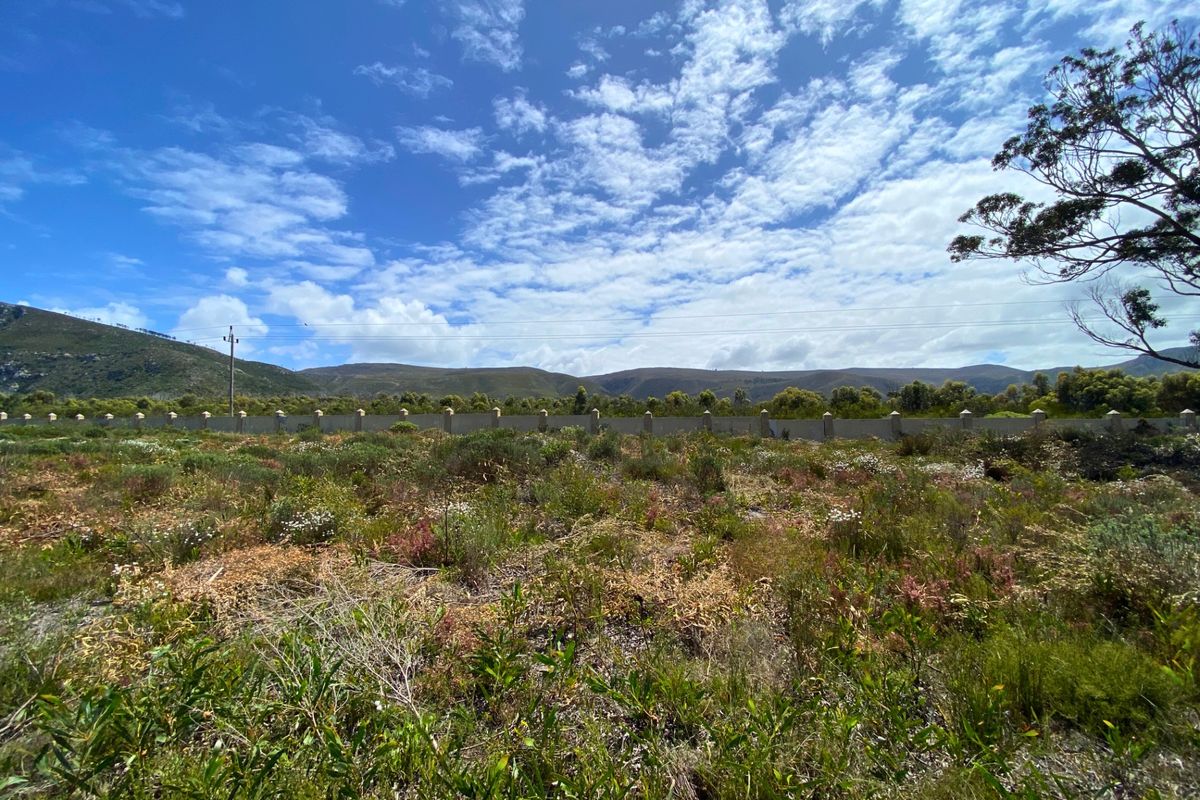 Vacant Land Residential For Sale in Franskraal - Photo 5