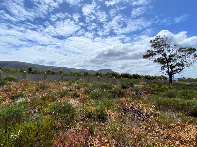 Vacant Land Residential For Sale in Franskraal - Photo 9