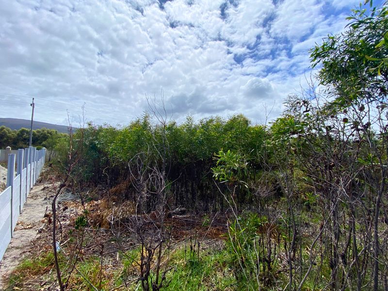 Vacant Land Residential For Sale in Franskraal - Photo 7