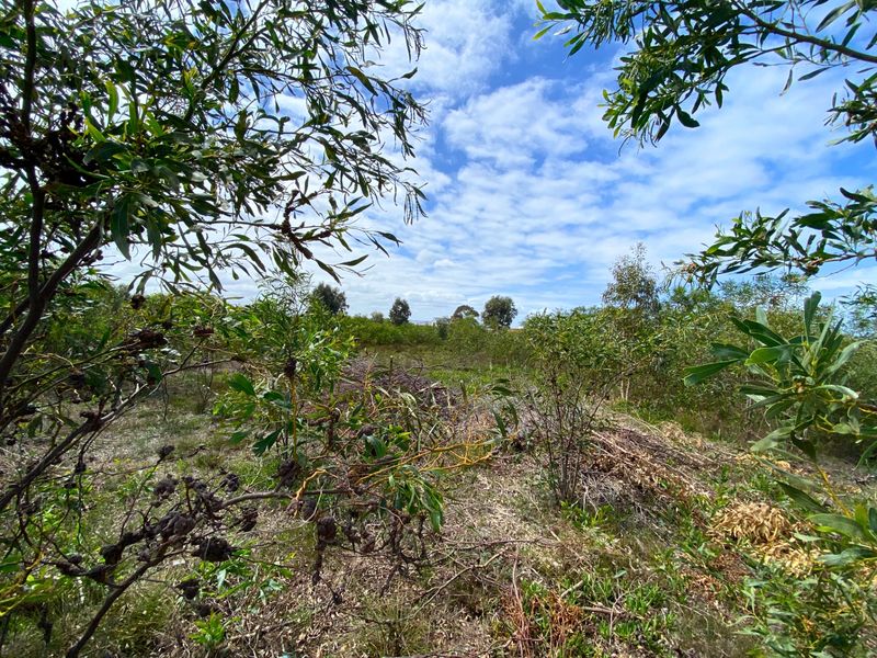 Vacant Land Residential For Sale in Franskraal - Photo 6