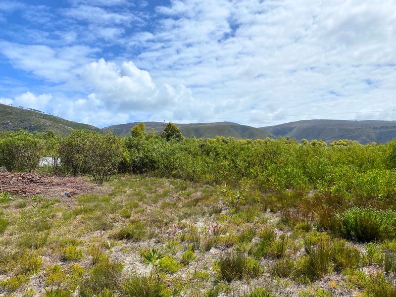 Vacant Land Residential For Sale in Franskraal - Photo 5