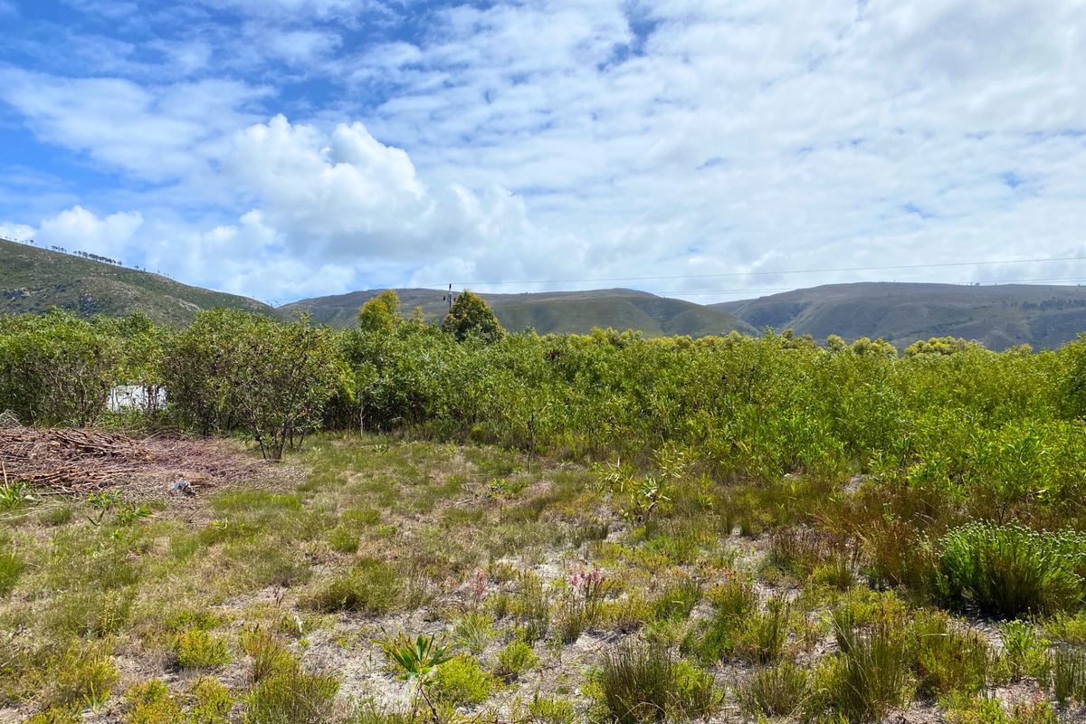 Vacant Land Residential For Sale in Franskraal - Photo 5