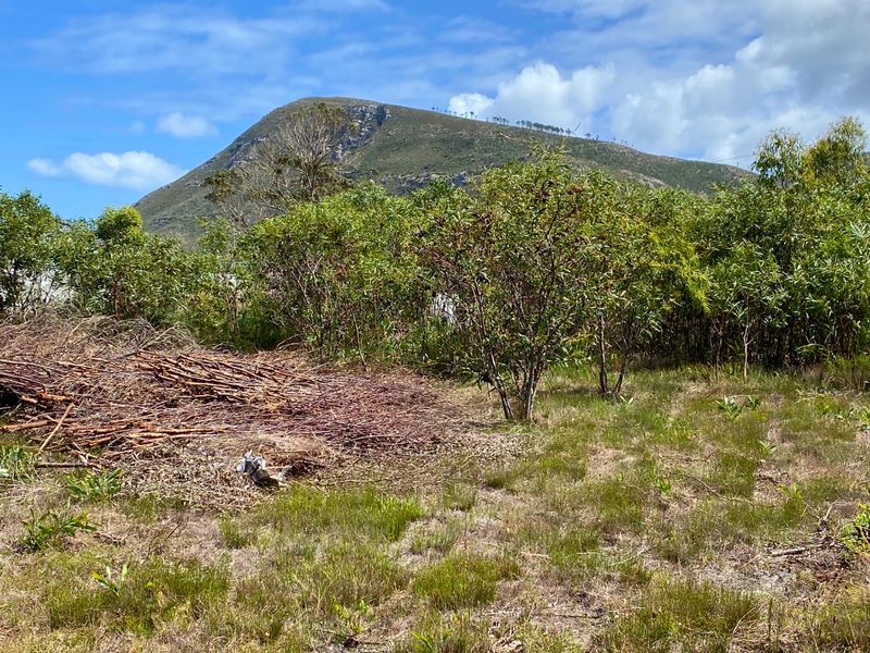 Vacant Land Residential For Sale in Franskraal - Photo 9