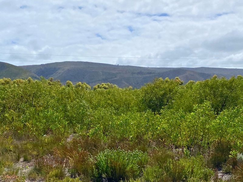 Vacant Land Residential For Sale in Franskraal - Photo 8