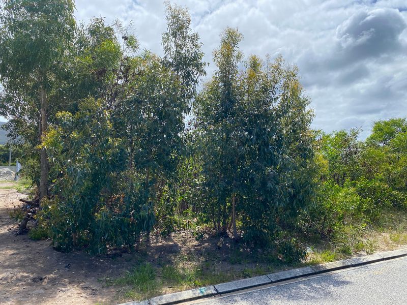 Vacant Land Residential For Sale in Franskraal - Photo 10