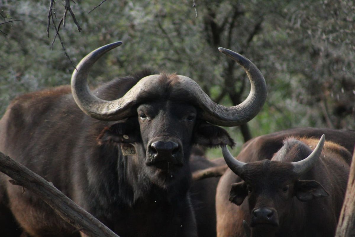 Vacant Land Residential For Sale in Oudtshoorn Rural - Photo 3