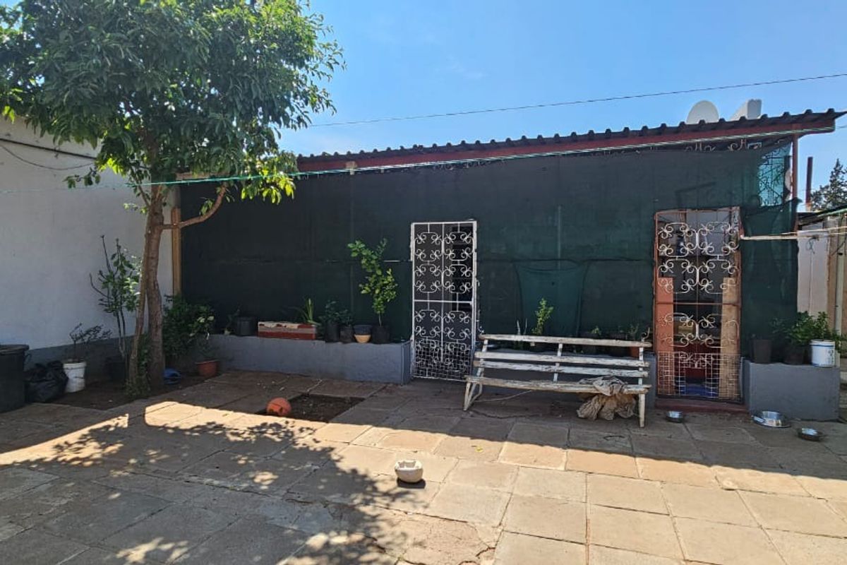 A paved rear courtyard area featuring a perimeter wall with privacy screening, mature tree, and metal security gates.