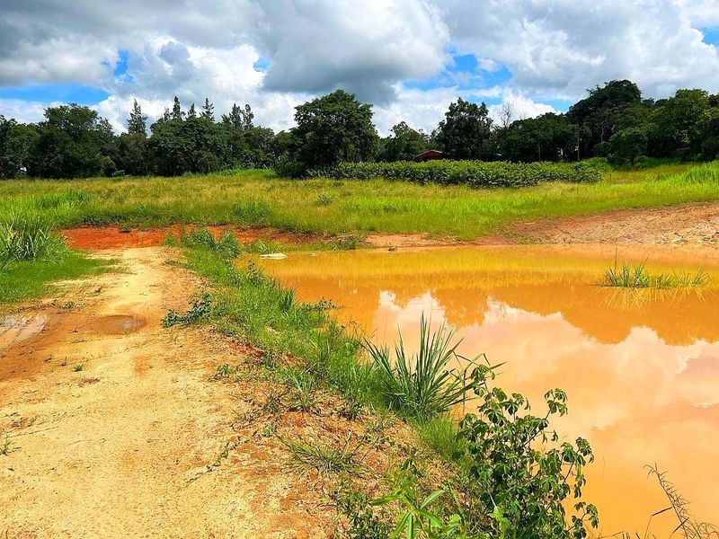 Farm For Sale in Broederstroomdrift AH - Photo 9