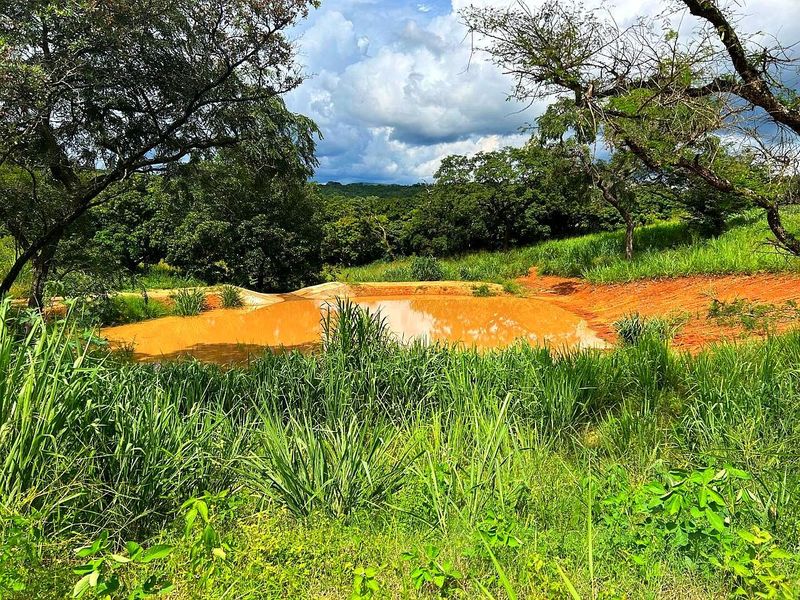 Farm For Sale in Broederstroomdrift AH - Photo 8