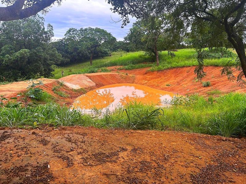 Farm For Sale in Broederstroomdrift AH - Photo 7