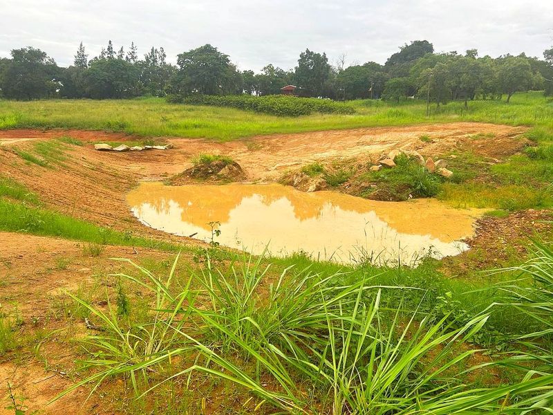 Farm For Sale in Broederstroomdrift AH - Photo 5