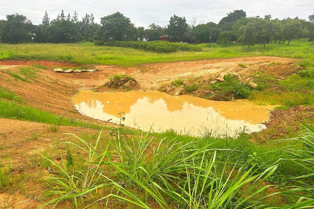 Farm For Sale in Broederstroomdrift AH - Photo 5