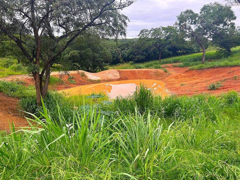 Farm For Sale in Broederstroomdrift AH - Photo 4