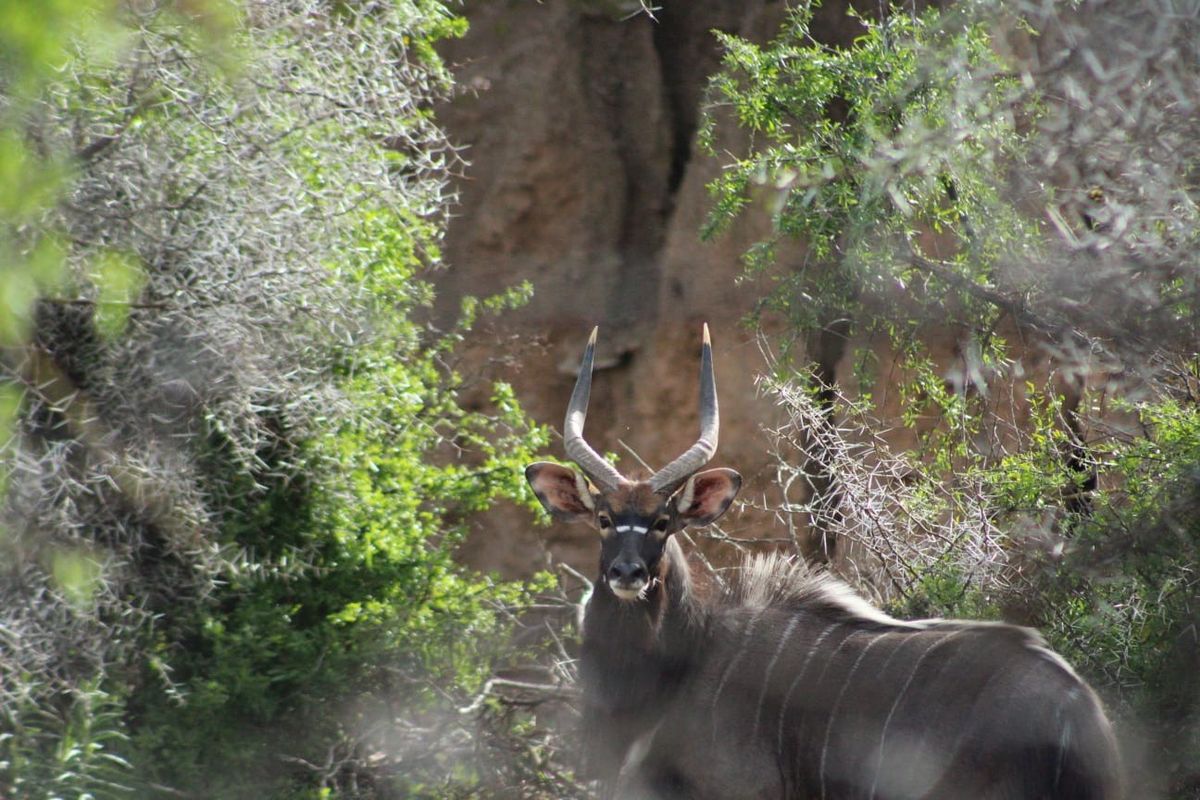 Vacant Land Residential For Sale in Oudtshoorn Rural - Photo 5