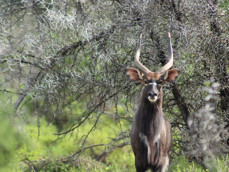 Vacant Land Residential For Sale in Oudtshoorn Rural - Photo 2
