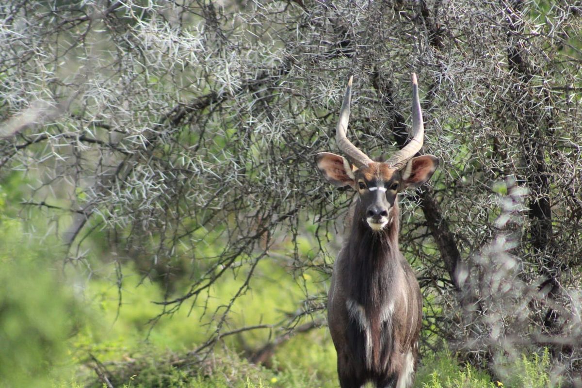 Vacant Land Residential For Sale in Oudtshoorn Rural - Photo 2