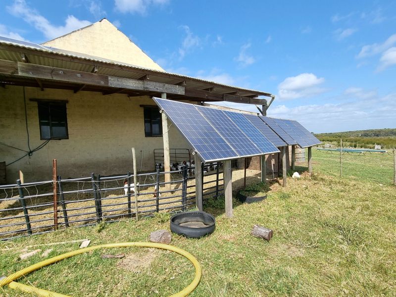 Farm For Sale in Stilbaai Rural - Photo 5
