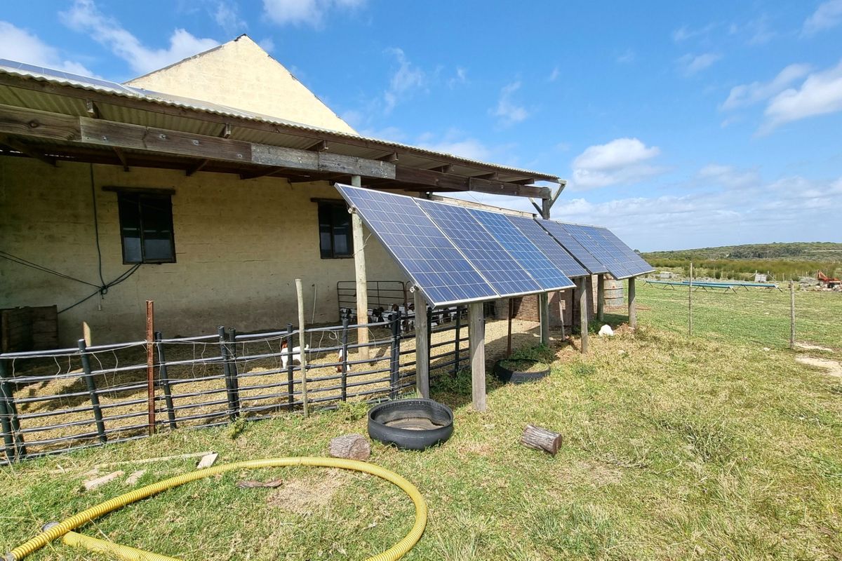 Farm For Sale in Stilbaai Rural - Photo 5