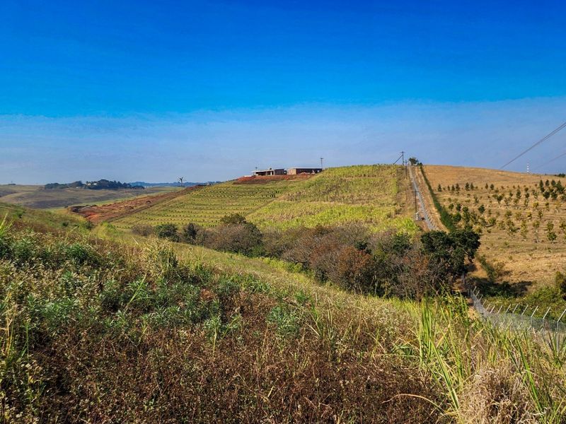 Farm For Sale in Fairview Estates - Photo 5