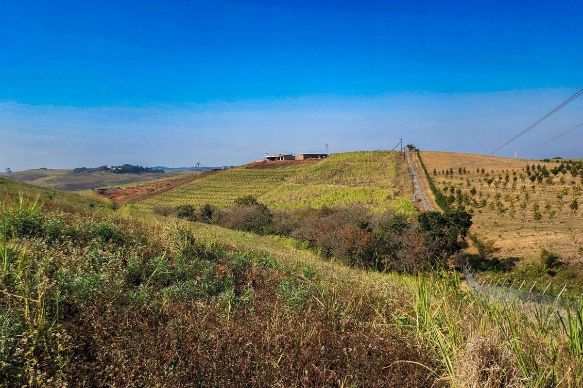 Farm For Sale in Fairview Estates - Photo 5