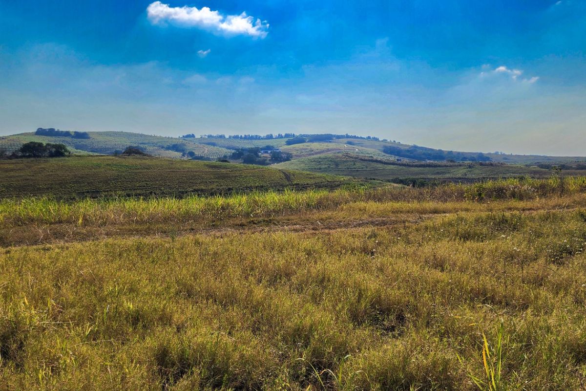 Farm For Sale in Fairview Estates - Photo 3