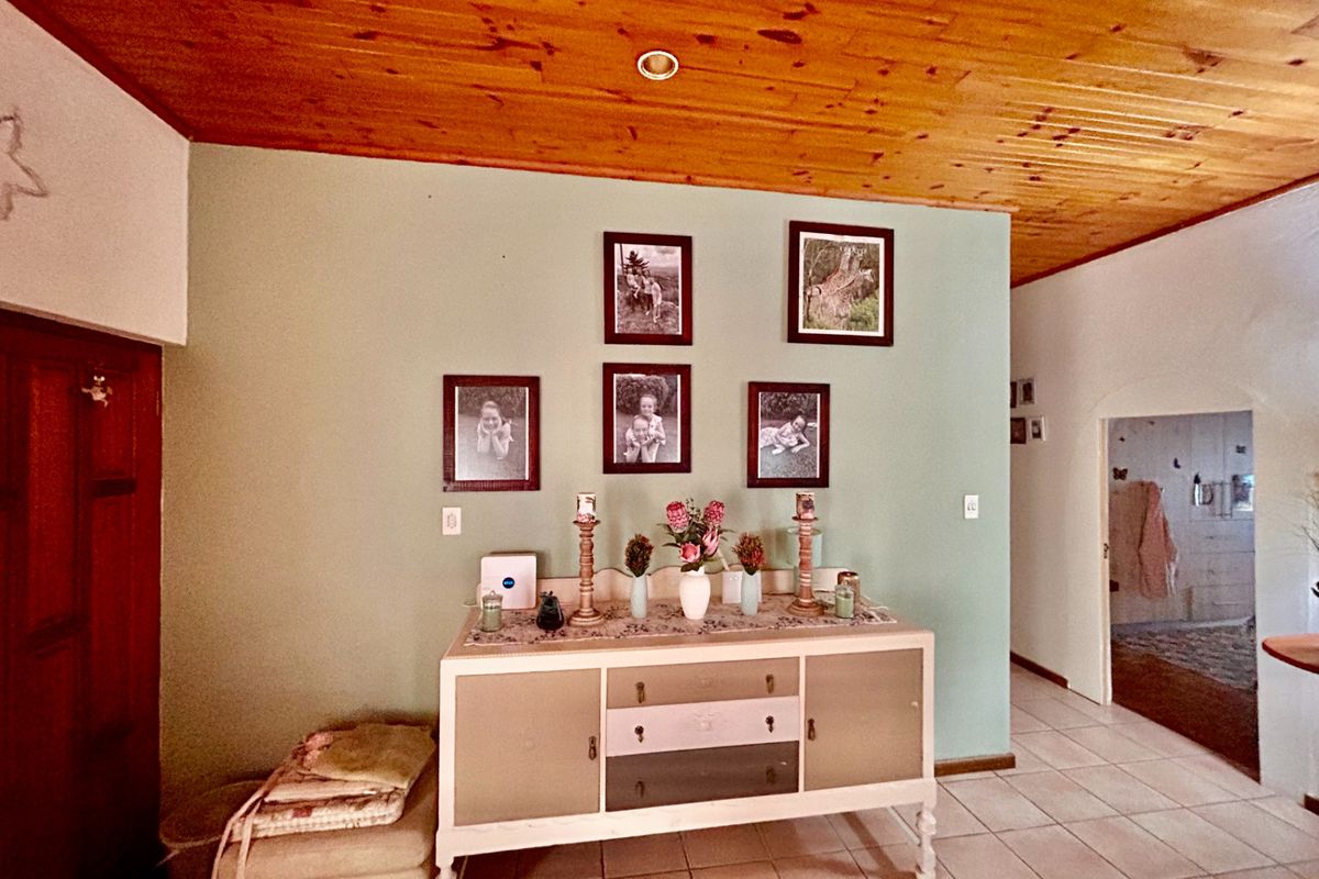 Interior view of a living area featuring a timber-clad ceiling, tiled flooring, and a painted feature wall.