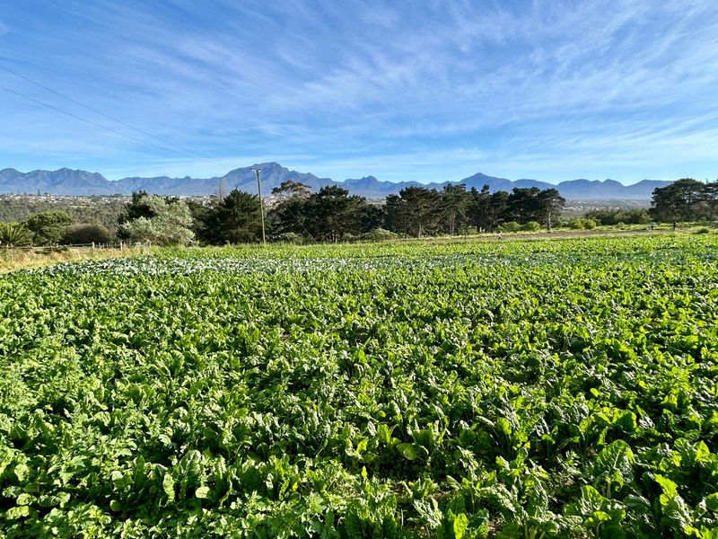 Farm For Sale in Hansmoeskraal AH - Photo 2